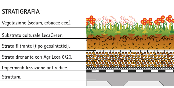 MC111-malpensa-stratigrafia-verdeMC111-malpensa-stratigrafia-verde